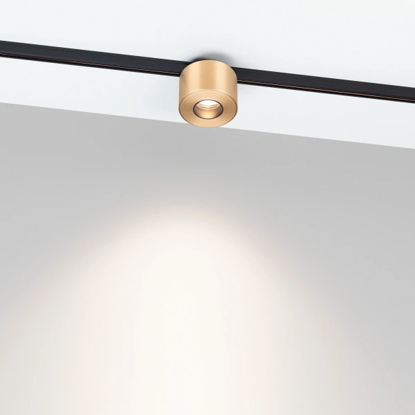 Светильник MAG-MICROCOSM-POINT-R60-5W Day4000 (GD, 36 deg, 24V) (Arlight, IP20 Металл, 3 года)