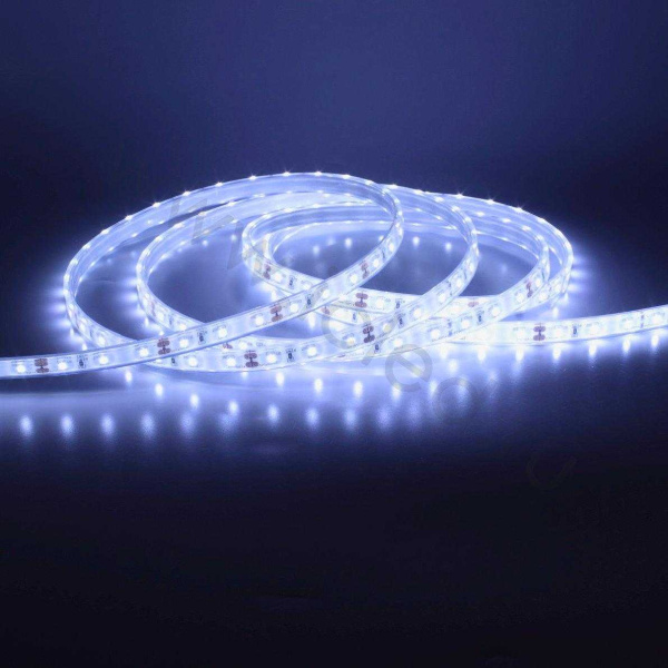 Светодиодная лента LUX class 2835 60led/m, cool white, 12V, IP68, N50