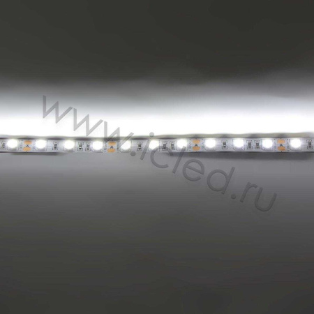 Светодиодная лента Standart PRO class, 5050, 60led/m, white, 12V, IP20, С80