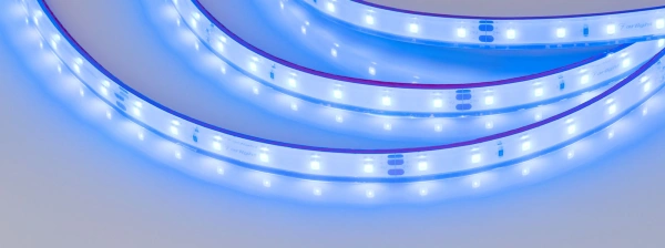 Светодиодная Лента герметичная RTW-PFS-A60-11mm 24V Blue (4.8 W/m, IP68, 2835, 5m) (Arlight, 4.8 Вт/м, IP68)