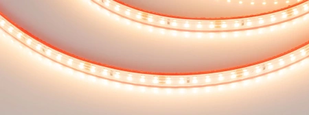 Светодиодная Лента герметичная RTW-PS-A120-10mm 24V Warm2700 (9.6 W/m, IP67, 2835, 5m) (Arlight, 9.6 Вт/м, IP67)