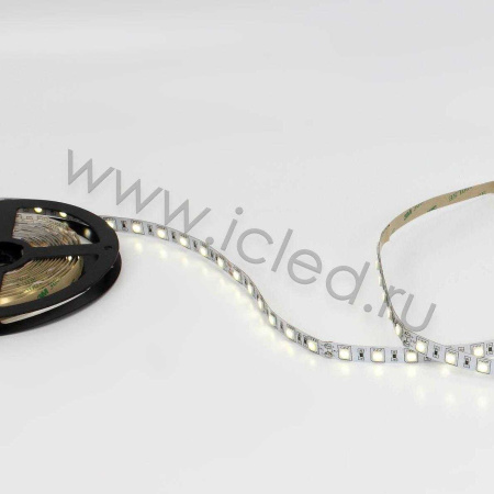 Светодиодная лента Standart class 5050, 60led/m, Day White, 24V, IP20, G151