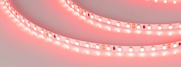 Светодиодная Лента RT-A120-5mm 24V Red (9.6 W/m, IP20, 2835, 5m) (Arlight, 9.6 Вт/м, IP20)
