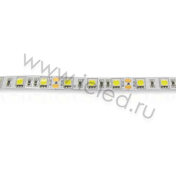 Светодиодная лента  Standart PRO class, 5050, 60led/m, day white, 12V, B150, IP20