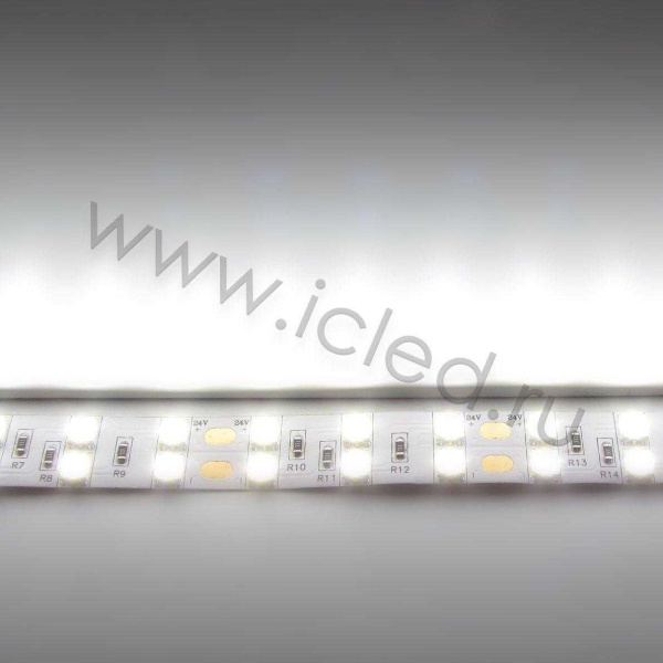 Светодиодная лента Standart PRO class, 5050, 120 led/m, Day White, 24V, IP20