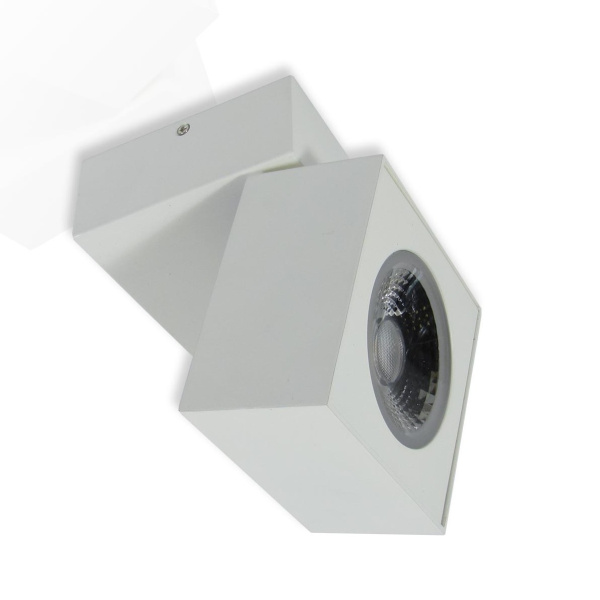 Накладной светодиодный светильник SW (12.3W, Day White)