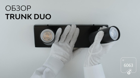 Накладной светильник Trunk Duo (RAL9003 D55 — GU10)