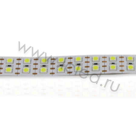 Светодиодная лента Standart PRO class, 5050, 144 led/m, White, 24V, IP20