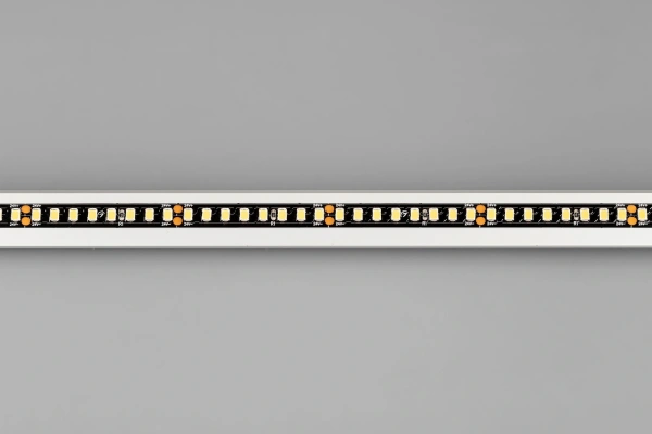Светодиодная Лента RT-5000-2835-160-24V Day4000 (Black 8mm, 12W/m, IP20) (Arlight, -)