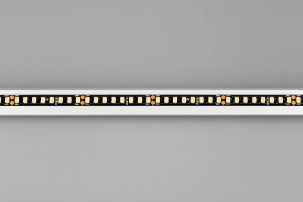 Светодиодная Лента RT-A160-BLACK-8mm 24V Day4000 (12 W/m, IP20, 5m) (Arlight, -)