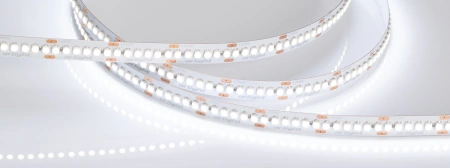 Светодиодная Лента RT6-3528-240 24V White6000 4x (1200 LED) (Arlight, 19.2 Вт/м, IP20)