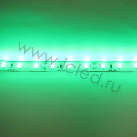 Светодиодная лента  Standart PRO class, 5630, 60led/m, Green,12V, IP20