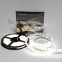 Светодиодная лента Class Premium, 5050, 120 led/m, Day White, 24V, IP65, А12
