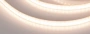 Светодиодная Лента герметичная RTW-PSW-A120-10mm 24V Warm3000 (9.6 W/m, IP67, 2835, 5m) (Arlight, 5 лет)