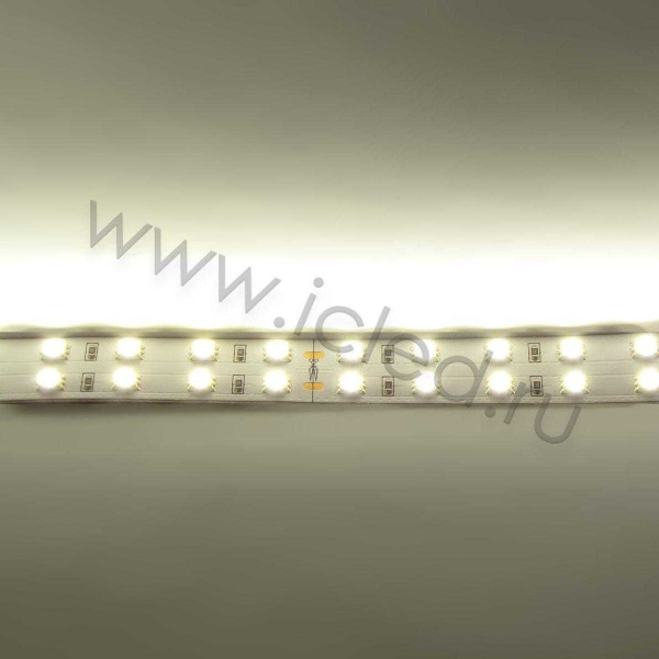 Светодиодная лента Standart PRO class, 5050, 120 led/m, Warm White, 24V, IP20