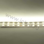 Светодиодная лента Standart PRO class, 5050, 120 led/m, Warm White, 24V, IP20