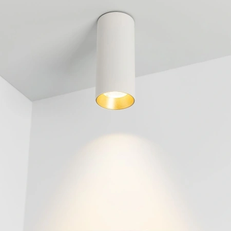 Светильник SP-POLO-SURFACE-R65-8W Day4000 (WH-GD, 40 deg) (Arlight, IP20 Металл, 5 лет)