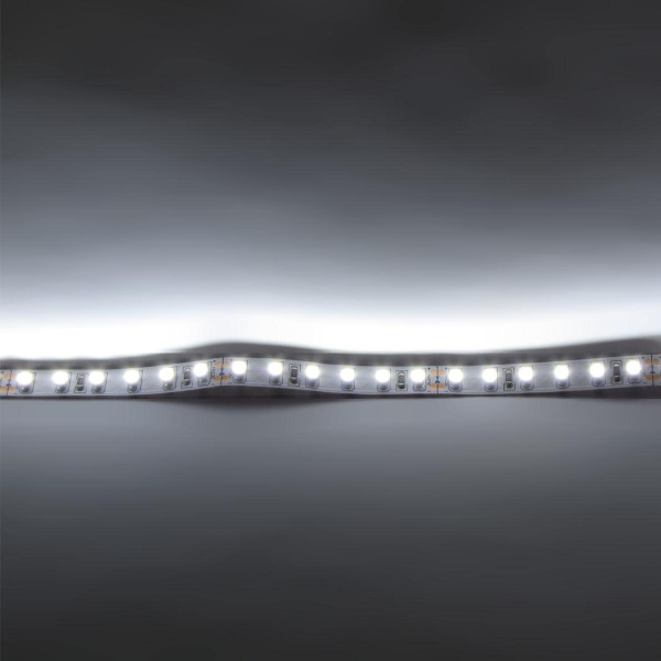 Светодиодная лента Standart class 3528, 120 led/m, White, 24V, IP20, G193