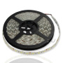Светодиодная лента Standart PRO class, 5050, 60led/m, White, 12V, D34, IP65