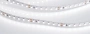 Светодиодная Лента RT 2-5000 24V White6000 2x (3528, 600 LED, LUX) (Arlight, 9.6 Вт/м, IP20)