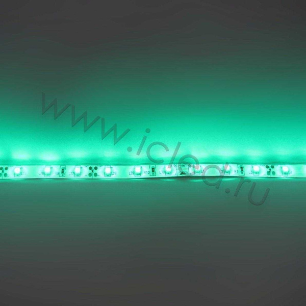 Светодиодная лента Standart PRO class, 3528, 60 led/m, Green, 12V, IP65