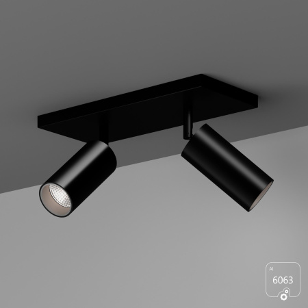 Накладной светильник Trunk Duo (RAL9003 D55 — GU10)