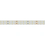 Светодиодная Лента RT 2-5000 24V Day4000 2x2 (2835, 980 LED, CRI98) (Arlight, 20 Вт/м, IP20)