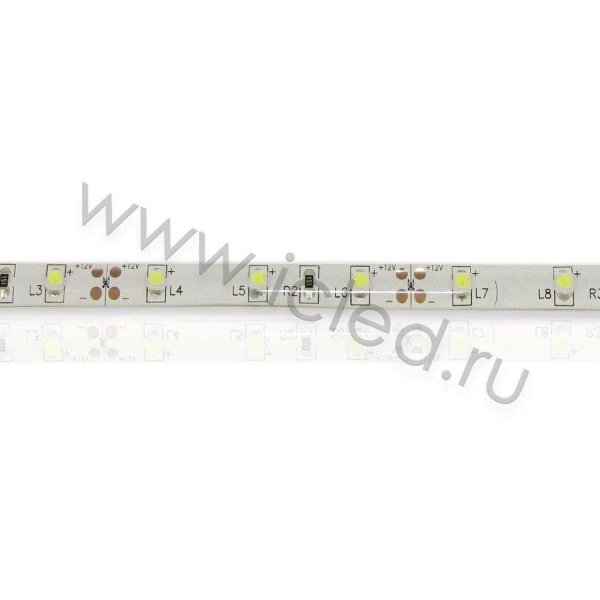 Светодиодная лента Standart PRO class, 3528, 60 led/m, White, 12V, IP65