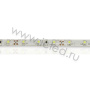 Светодиодная лента Standart PRO class, 3528, 60 led/m, White, 12V, IP65