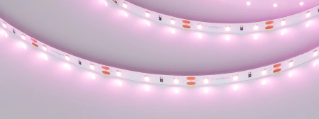 Светодиодная Лента RT-A60-8mm 12V Pink (4.8 W/m, IP20, 2835, 5m) (Arlight, 4.8 Вт/м, IP20)