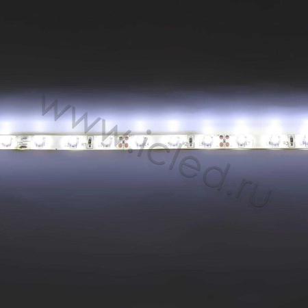 Светодиодная лента Standart PRO class, 3528, 60 led/m, White, 12V, IP65