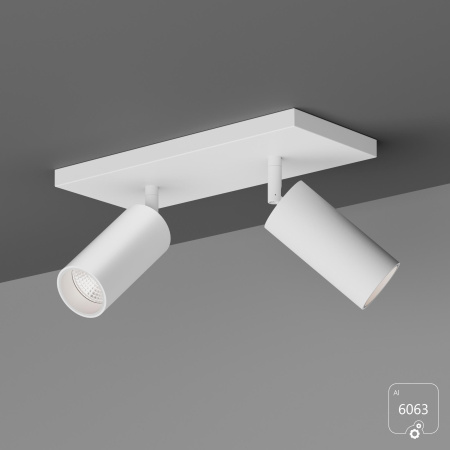 Накладной светильник Trunk Duo (RAL9003 D55 — GU10)