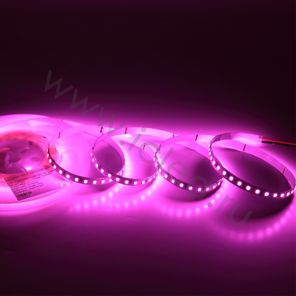 Светодиодная лента Standart Pro class, 2835, 120 led/m, 8mm, без скотча, pink, 24V, IP20, SL23