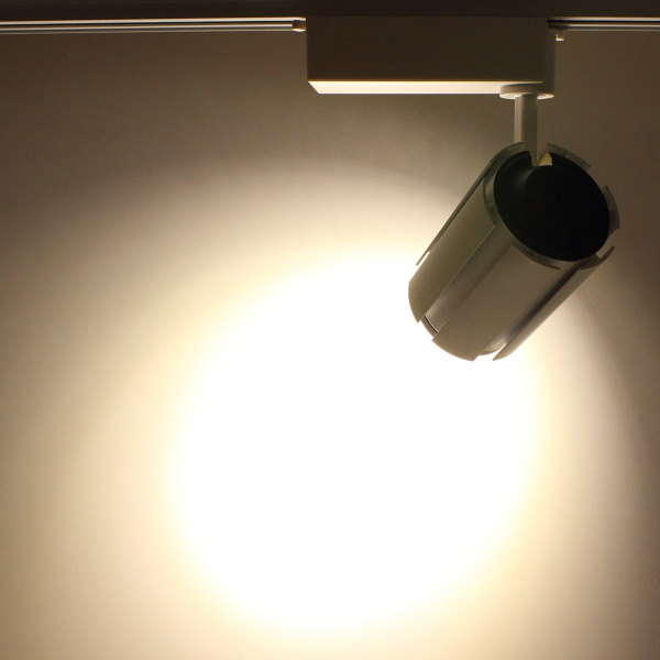 Светодиодный светильник трековый JH-A09-30W 2L PX49 (30W, 220V, day white)