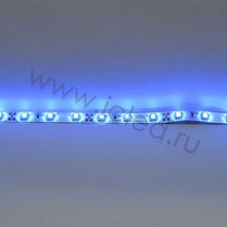 Светодиодная лента Standart PRO class, 3528, 60 led/m, Blue, 12V, IP65