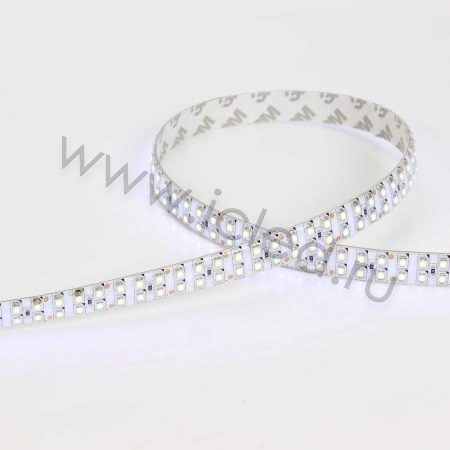 Светодиодная лента Standart PRO class, 3528, 240 led/m, White, 24V, IP65