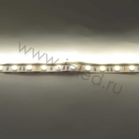 Светодиодная лента  Standart PRO class, 5050, 60led/m, Warm White, 12V, IP20