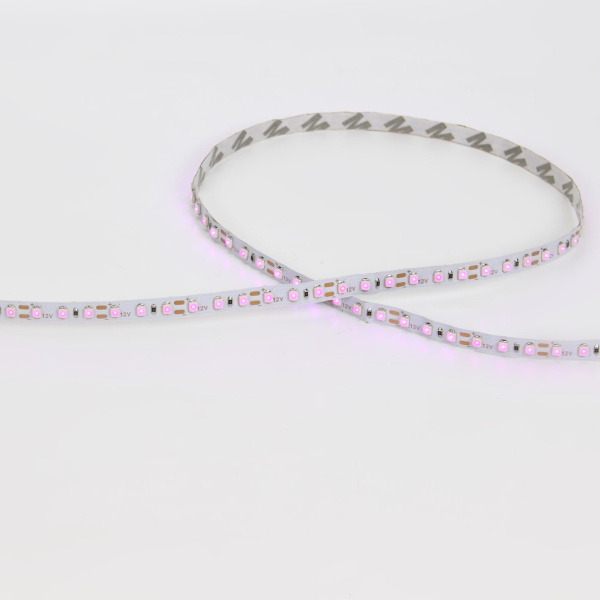 Светодиодная лента Standart PRO class, 3528, 120 led/m, Pink,12V, IP20, C100