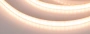 Светодиодная Лента герметичная RTW-PW-A120-10mm 24V Warm2700 (9.6 W/m, IP66, 2835, 5m) (Arlight, Герметичный)