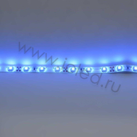 Светодиодная лента Standart PRO class, 3528, 60 led/m, Blue, 12V, IP65