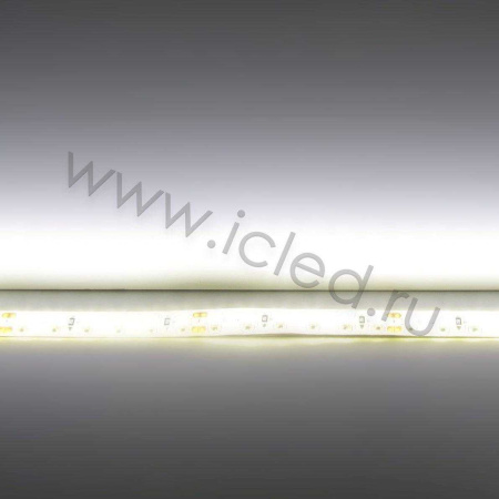 Светодиодная лента Standart PRO class, 3528, 120 led/m, Warm White, 24V, IP65