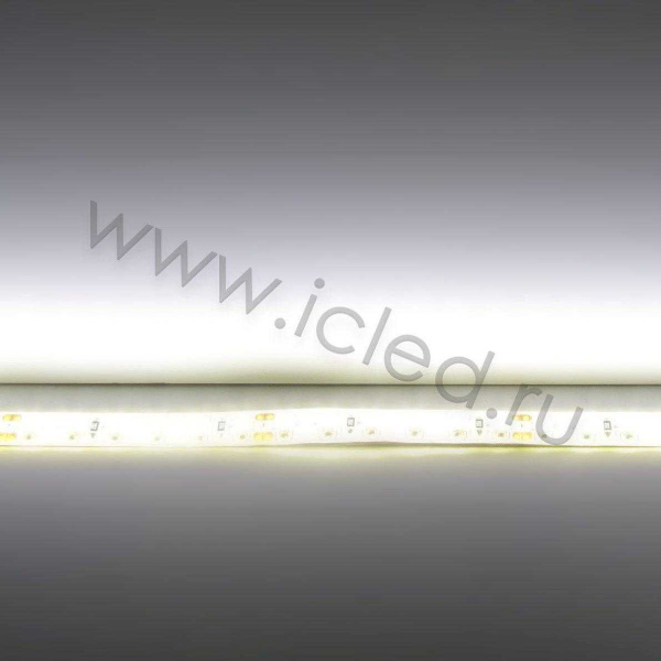 Светодиодная лента Standart PRO class, 3528, 120 led/m, Warm White, 24V, IP65
