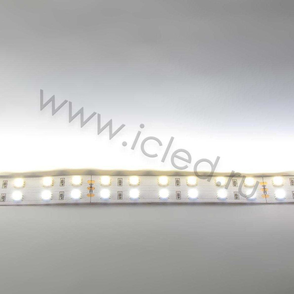 Светодиодная лента Standart PRO class, 5050, 120 led/m, MIX, 24V, IP20