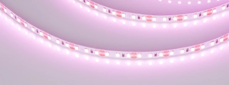 Светодиодная Лента RT-A120-8mm 12V Pink (9.6 W/m, IP20, 2835, 5m) (Arlight, Открытый)
