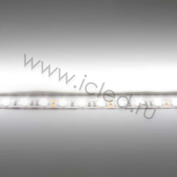 Светодиодная лента  Standart PRO class, 5050, 60led/m, day white, 12V, B150, IP20