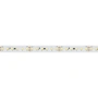 Светодиодная Лента IC2-20000 24V Warm2700 2x 12mm (2835, 120 LED/m, Long) (Arlight, 9.6 Вт/м, IP20)