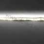 Светодиодная лента Standart PRO class, 3528, 120 led/m, Warm White, 12V, IP65