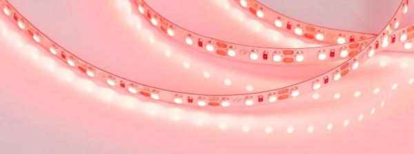 Светодиодная Лента RT-A120-8mm 12V Red (9.6 W/m, IP20, 2835, 5m) (Arlight, 9.6 Вт/м, IP20)