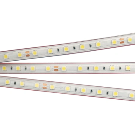 Светодиодная Лента герметичная RTW-PS-B60-12mm 24V Day4000 (14.4 W/m, IP67, 5060, 5m) (Arlight, 14.4 Вт/м, IP67)