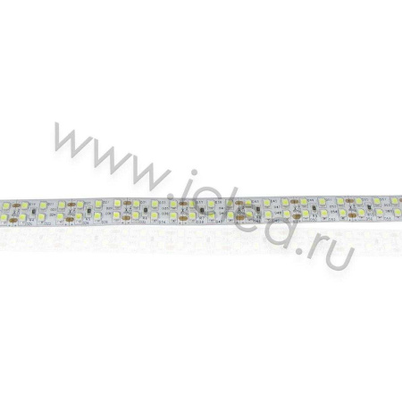 Светодиодная лента LUX class, 3528, 240 led/m, white, 24V, nano IP54 V241